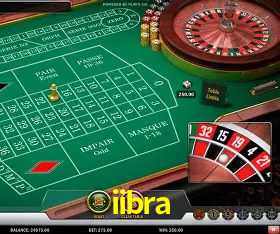 Security Systems iibra